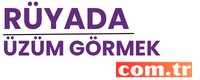 ruyadauzumgormek.com.tr